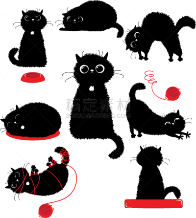 进行中,黑色,分离着色,可爱的,白色,宠物,猫,自然美,收集,坐