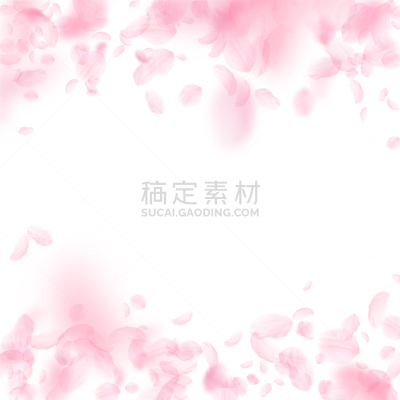 浪漫,粉色,花瓣,樱之花,仅一朵花,请柬,风,樱桃,落下,爱