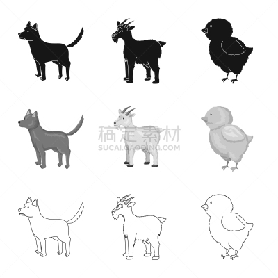 标志,厨房,可爱的,农业,纯种犬,复活节,食品,设计,布置