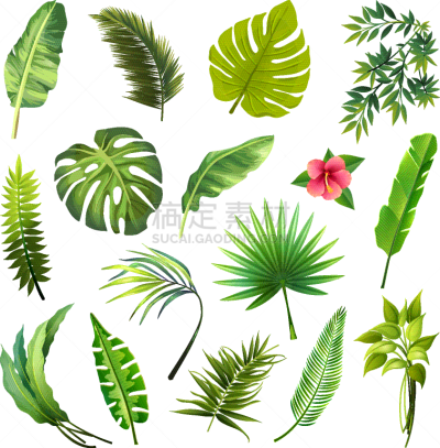 set tropical leaves icons isolated on white