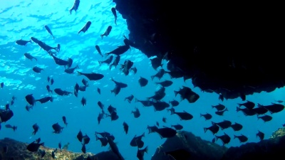水下深海洞穴，“烟囱”，Ko Haa，Krabi，泰国
