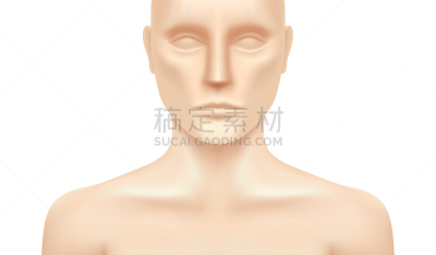 人,时装模特,矢量,分离着色,白色背景