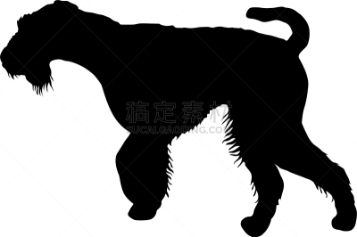 狗,白色,艾尔谷犬,纯种犬,梗犬,雪,哺乳纲,动物,吠声,剪影