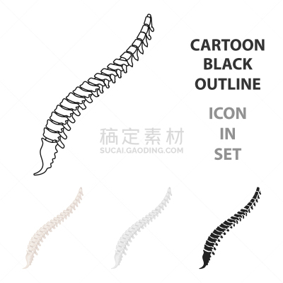 脊柱,白色,分离着色,计算机图标,时尚,动画片,椎骨,人,图像