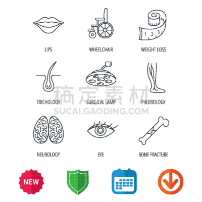 神经系统,脑,人的眼睛,计算机图标,轮廓,健康保健,骨折,下载,手术