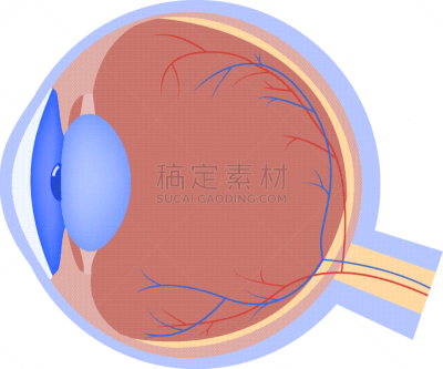 健康保健,眼球,计算机图标,平坦的,生理学,人的眼睛,生物学,验光师,视网膜病