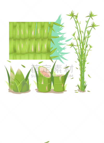 竹,笋,复叶,枝繁叶茂,草,植物,分离着色,收集,布置