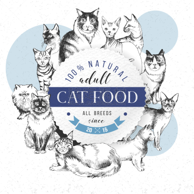 猫食,东方人,圆形,可爱的,性格,宠物,收集