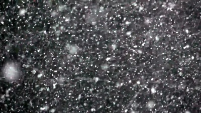 高清慢动作 降雪中的森林