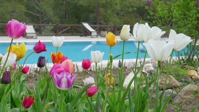 带学生的山上度假村游泳池，Fethiye，土耳其