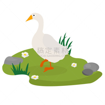可爱的,绘画插图,鹅肉,矢量,地形,平坦的,卡通,牲畜,农业,野生动物