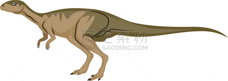 尾巴,长的,白色背景,体温调节,已灭绝生物,侏罗纪,雷龙,蜥蜴,动物,惧龙
