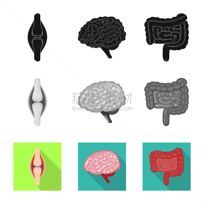生物学,科学,标志,健康保健,植物群,空肠,脑回,设计,思考,研究