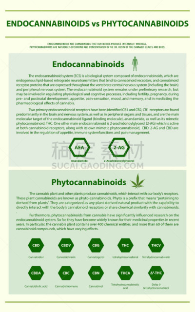 信息图表,垂直画幅,健康保健,心肺系统,替代医药,分子,受体,舌下,淋巴系统,神经科学