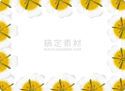 自然,黄色,边框,创造力,白色,图像,壁纸,模板,花,装饰