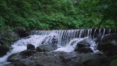 夏季水景