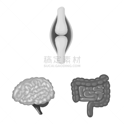 健康保健,标志,里面,生物学,莫诺湖,植物群,空肠,脑回,设计,思考