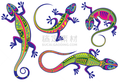 蜥蜴,华丽的,野生动物,动物,品牌名称,尾巴,爬行纲,弯曲,剪影