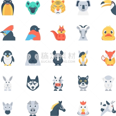 鸟类,动物主题,四只动物,图像,猫,绵羊,松鼠,蛇,戴胜鸟,巨嘴鸟