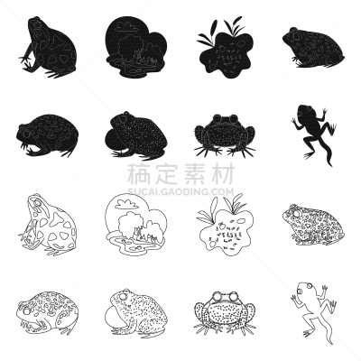 野生动物,藓沼,符号,生物学,有毒物质,环境,青蛙,草,动物,牛蛙