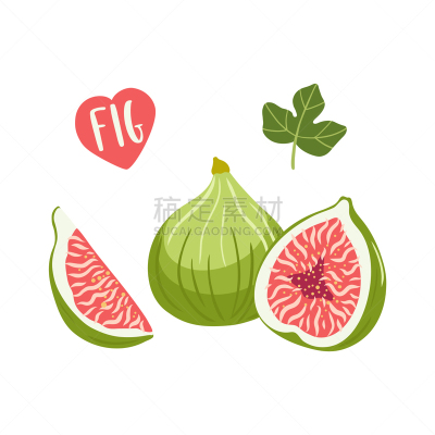 水果,动物手,无花果,蔬菜,素食,清新,食品,维生素,绘制,布置
