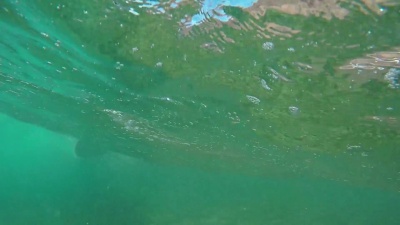 水下慢动作 在大管波上冲浪