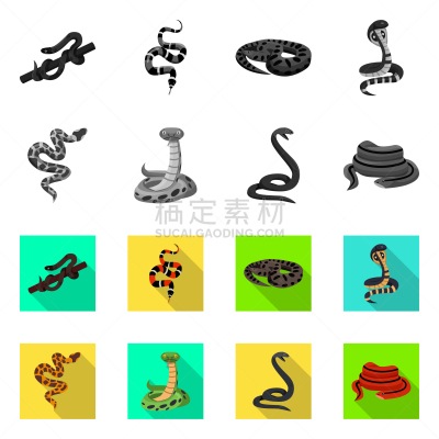 怪异,蛇,分离着色,一个物体,品牌名称,野生动物,动物,尾巴,眼镜蛇,爬行纲