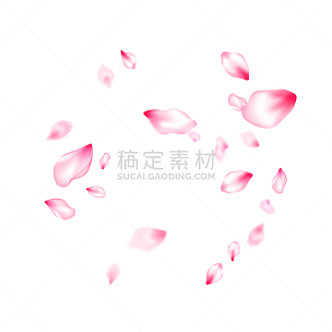 粉色,花瓣,樱之花,五彩纸屑,分离着色,白色,自然,红色,飞,落下
