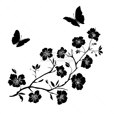 嫩枝,蝴蝶,樱桃树,白色,自然,花朵,樱桃,枝,茎
