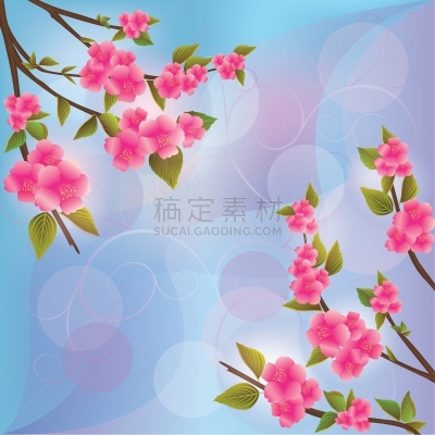 日本,樱之花,樱桃,花朵,背景,东方人,式样,华丽的,自然