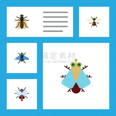 蚊子,小的,粪,平坦的,生物学,自然,青蝇,怪异,闲谈,授粉