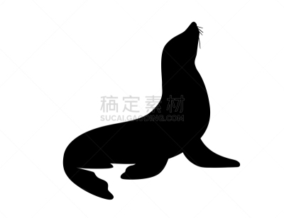 卡通,绘画插图,可爱的,黑色,动物,矢量,白色背景,海豹,剪影,设计