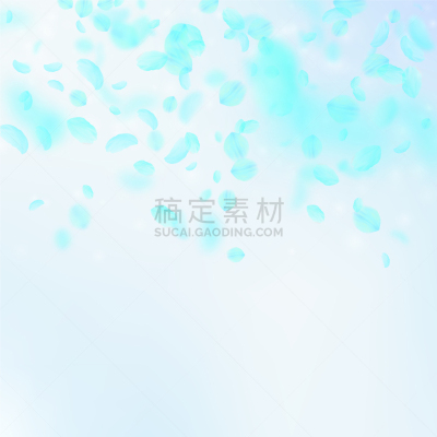 光驱,创造力,花瓣,青绿色,华丽的,请柬,浪漫,风,落下,爱