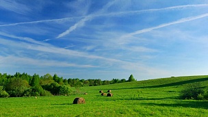 春天的早晨，绿色的田野上有干草捆