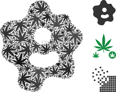 阿米巴,生物学,多样,瘾君子,吸血动物,草,动物,愤怒