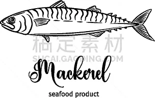 青花鱼 青花鱼图片 青花鱼素材下载 稿定素材