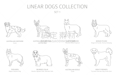 狗,分离着色,线条,白色,极简构图,可爱的,纯种犬,梗犬,玩具,收集