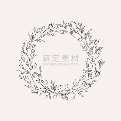 草本,边框,绘画插图,线条画,月桂花冠,植物学,手,枝,花,绘制
