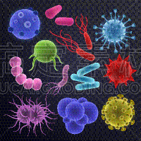 细菌,生物学,分离着色,微生物学,健康保健,不卫生的,人,生病,满意