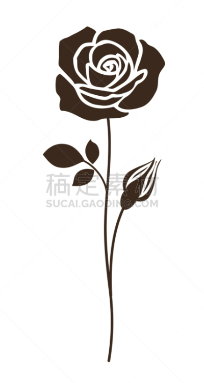 玫瑰,花蕾,茎,长的,华丽的,线条,背景分离,简单,春天,装饰物