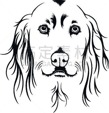 斯班尼犬,矢量,田地,可卡犬,肖像,图像,狗,工作