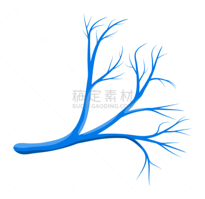 人,血管,符号,蓝色,计算机图标,生物学,分离着色,健康保健,白色背景,设计