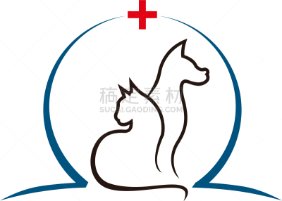 宠物,猫,狗,分离着色,可爱的,商务,饲养员,爱,收养