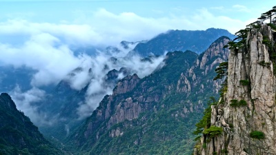 黄山山谷的云海