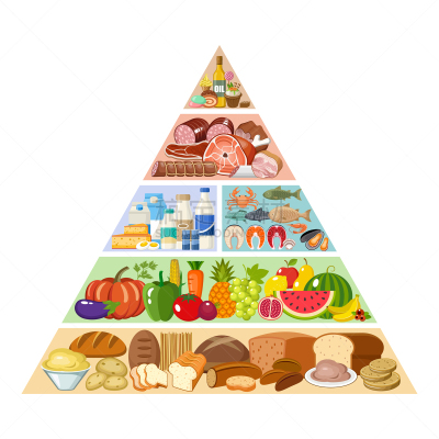 信息图表,食物金字塔,健康食物,蔬菜,奶制品,牛奶,碳水化合物,面包,食品,甜食