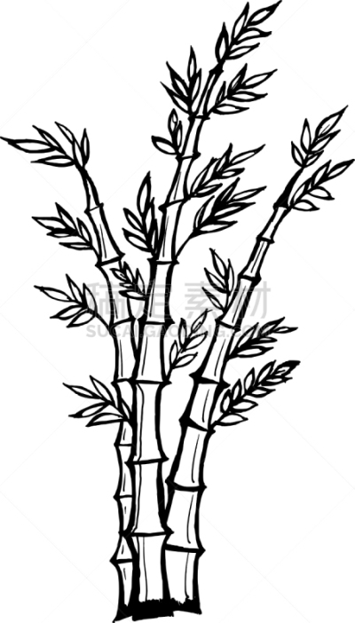 竹,分离着色,鸡尾酒,自然,图像,植物群,枝,动机,矢量,东方人