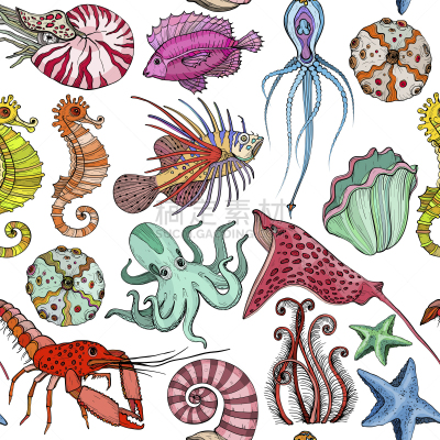 Seamless pattern with hand drawn marine life.