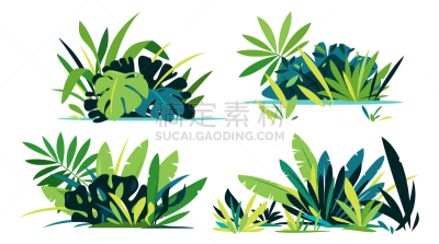 植物,绿色,热带雨林,草坪,背景分离,多样,野生动物,环境,环境保护,杂色的
