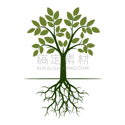 绿色,根部,创造力,自然,华丽的,高雅,图像,苹果树,树,装饰