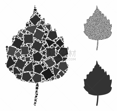 birch leaf composition icon inequal parts